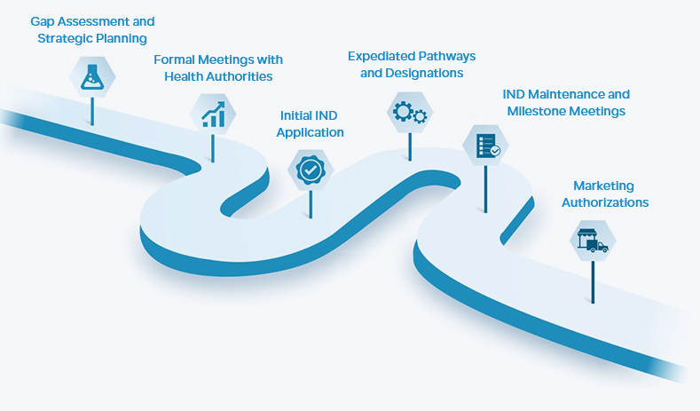 Regulatory Affairs